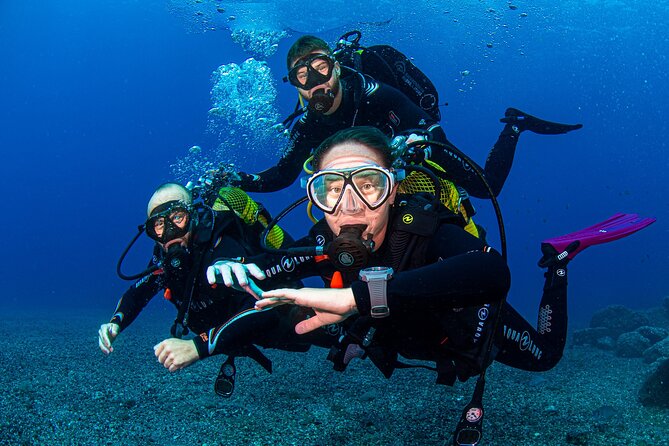 Scuba Diving Baptism Experience in Santa Cruz Tenerife - The first hour: equipment, safety, and preparation
