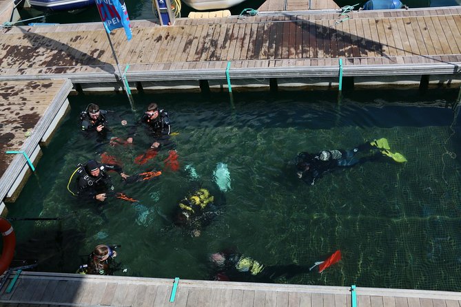 Scuba Diving Baptism in Caleta de Fuste - The first lesson: equipment, hand signals, and safety