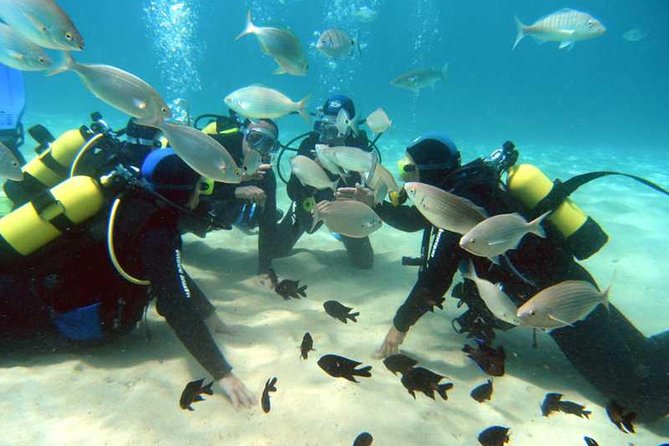 Scuba Diving Baptism in Costa Teguise, Lanzarote - What the Costa Teguise session is really like