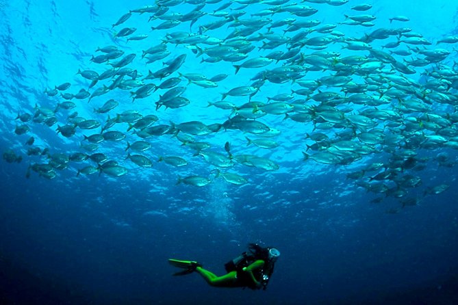 Scuba Diving Baptism in Costa Teguise, Lanzarote - Playa del Jablillo and the underwater hour