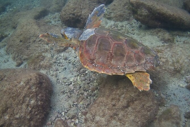 Scuba Diving Baptism in Costa Teguise, Lanzarote - Why 45 minutes underwater matters
