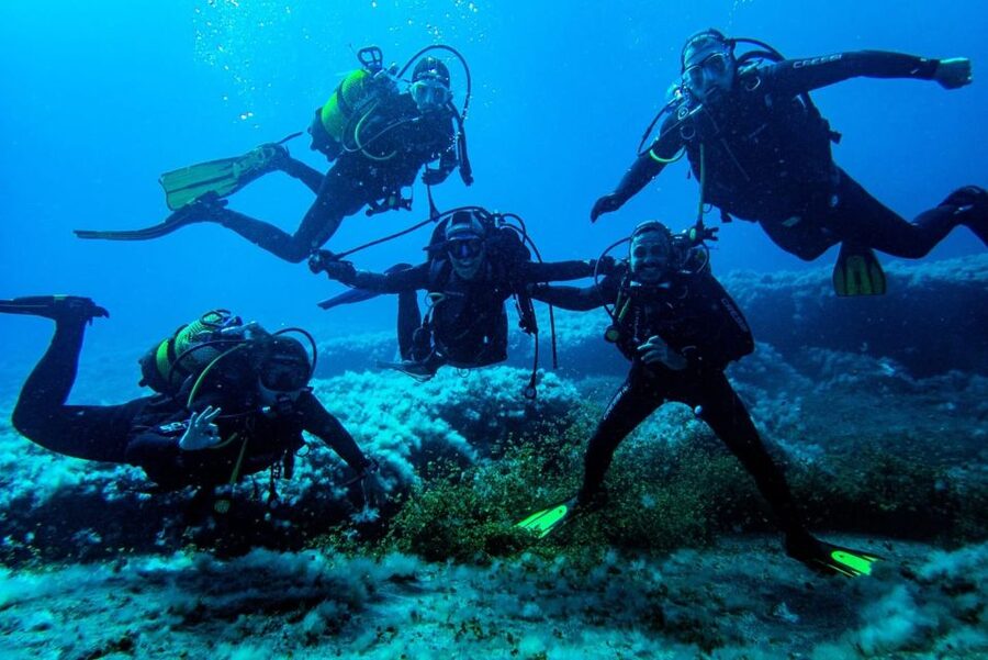 Scuba Diving Baptism in La Restinga - Is $77 good value?