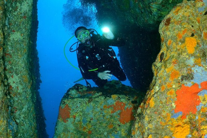 Scuba diving baptism - What happens at Lion de Mer