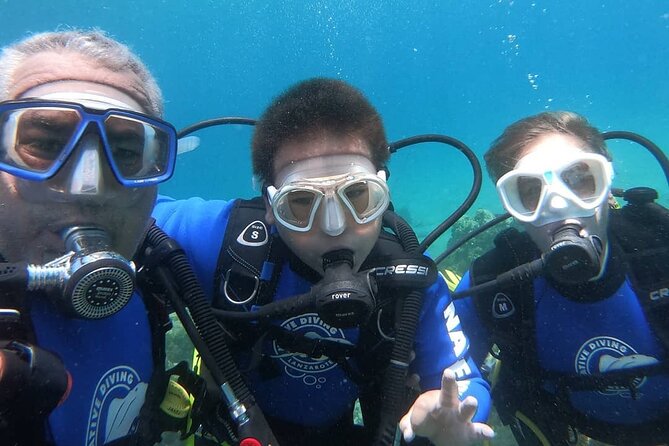 Scuba Diving (Basic Diver - 2 dives) - Meeting at Fish Spa in Costa Teguise