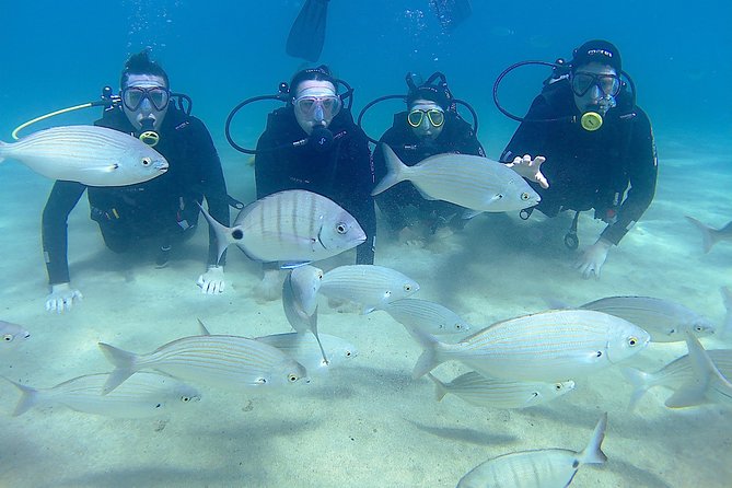 Scuba Diving (Basic Diver - 2 dives) - Is $120.15 a Fair Price?