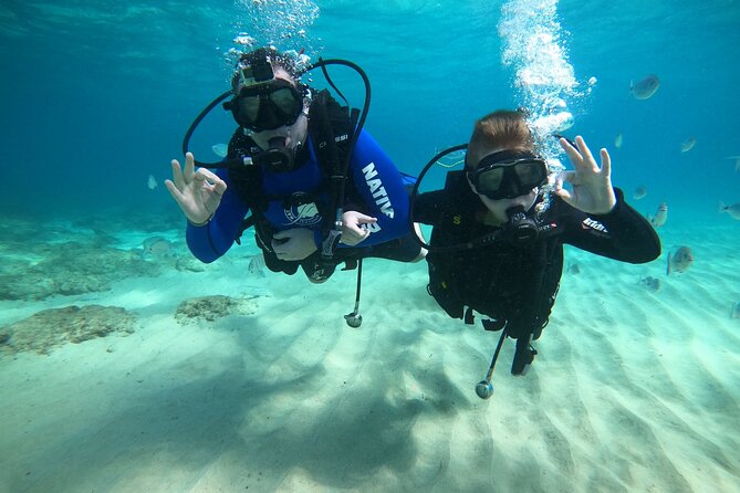 Scuba Diving (Basic Diver - 2 dives) - Practical Tips for a Better First Session