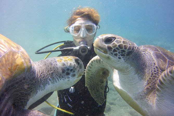 Scuba Diving Beginner's Session in Costa Adeje - The 45-minute underwater outing