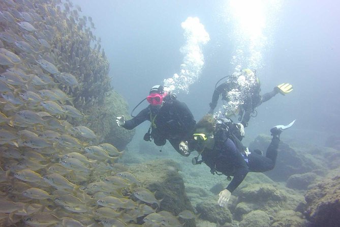 Scuba Diving Beginner's Session in Costa Adeje - Why the instructors matter so much