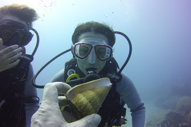 Scuba Diving Beginner's Session in Costa Adeje - What the group size means for you