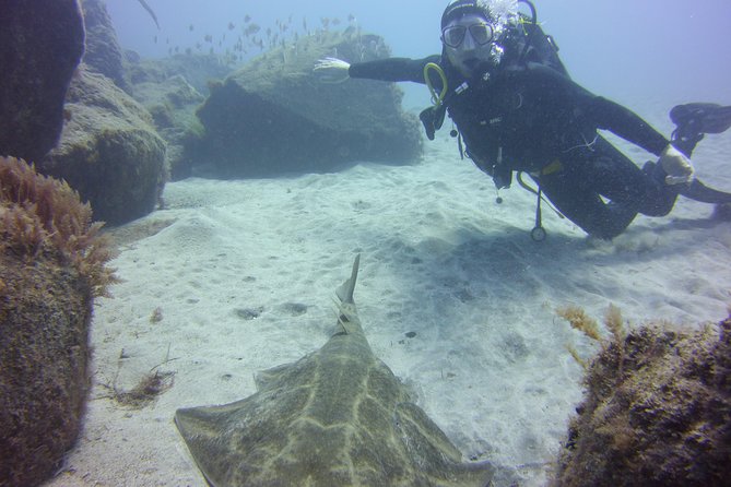 Scuba Diving Beginner's Session in Costa Adeje - Is $114.93 a fair price?