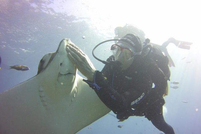 Scuba Diving Beginner's Session in Costa Adeje - Practicing in shallow water before going farther