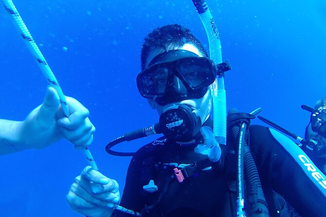 Scuba Diving Cyprus Experience Protaras and Ayia Napa & Turtles - Photos and memories after the session