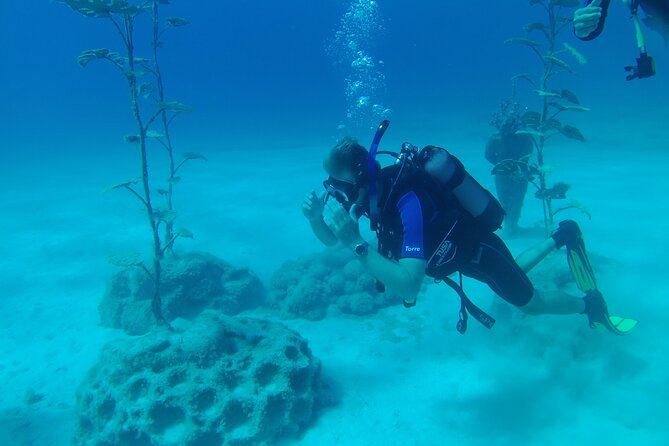 Scuba Diving Cyprus Experience Protaras and Ayia Napa & Turtles - What the $101.85 price gets you