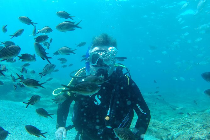 Scuba Diving Cyprus Experience Protaras and Ayia Napa & Turtles - Green Bay practice session and basic skills