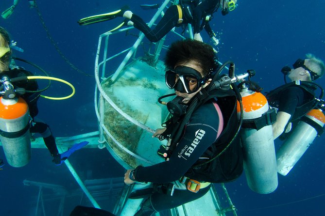 Scuba Diving Day Trip at Koh Chang – 2 Dives - What the Koh Chang day actually looks like