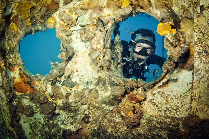 Scuba Diving Day Trip at Koh Chang – 2 Dives - Who should book this trip?