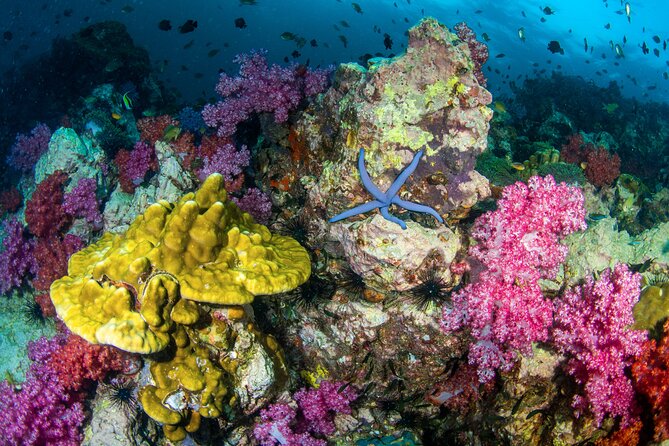 Scuba Diving Daytrip to Racha Yai - Ratings, service, and the pickup warning