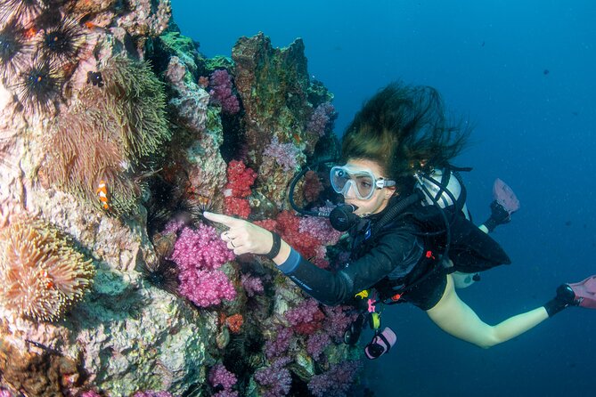 Scuba Diving Daytrip to Racha Yai - Racha Yai’s coral, fish, and wreck sites