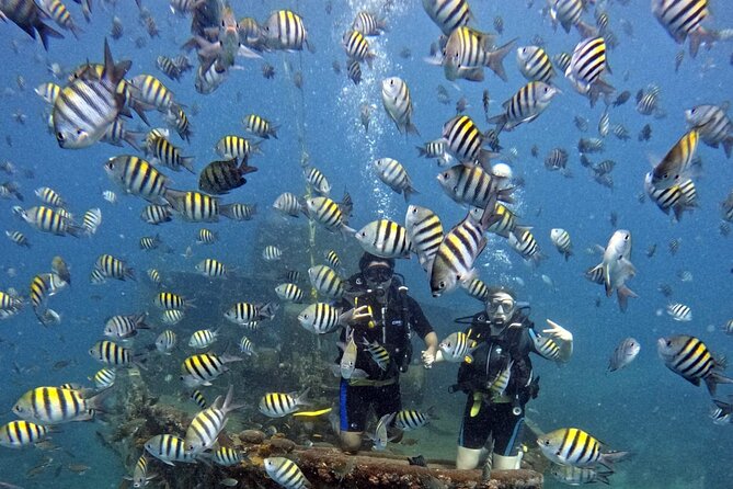 Scuba Diving Discovery in the Crystal Water DE Bayahibe - Key points to know before booking