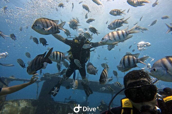 Scuba Diving Discovery in the Crystal Water DE Bayahibe - Equipment, snacks, and the $120 price