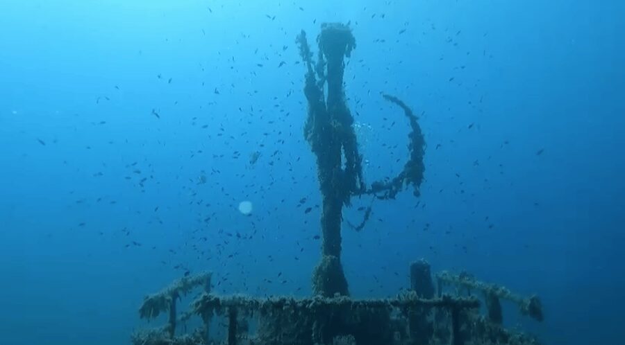 Scuba Diving - Dive for certified divers - Key points to know before booking