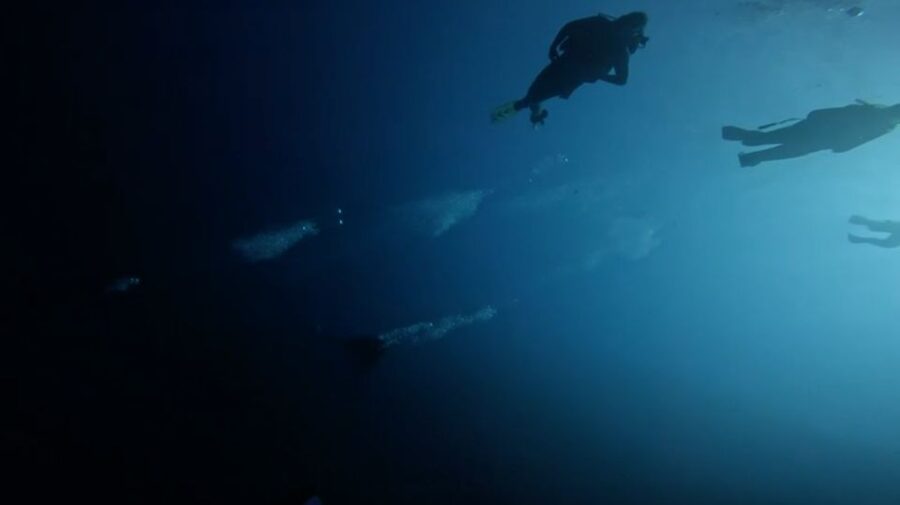 Scuba Diving - Dive for certified divers - How the instructors affect the experience