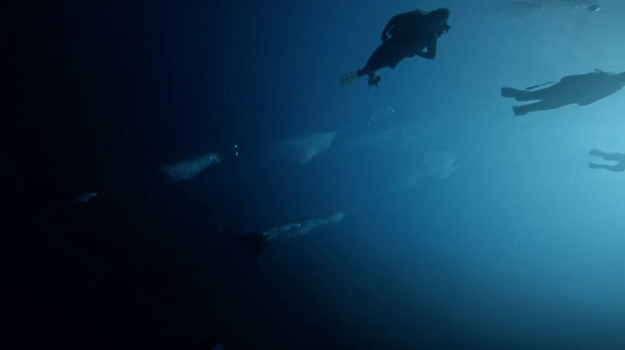 Scuba Diving - Dive for certified divers - Hotel pickup keeps the morning simple