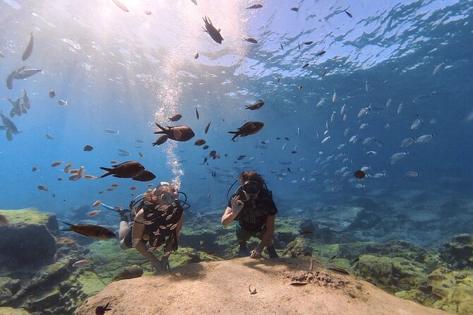 Scuba Diving Experience (10+ Years) AND Free Edited Video - The video is a useful extra, not the main reason to book