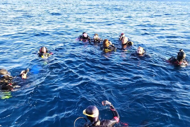 Scuba Diving Experience - The guides are a major part of the value