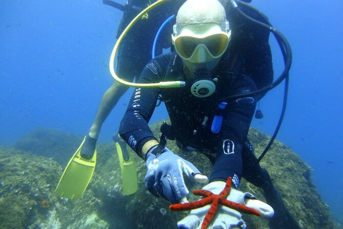 Scuba Diving Experience - Is $84.21 a fair price?