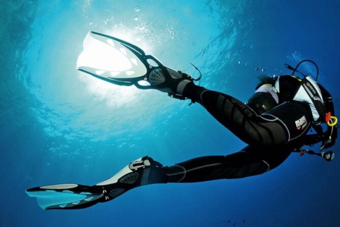 Scuba Diving Experience for Beginners in Ponta de São Lourenço - The first lesson: learning the equipment