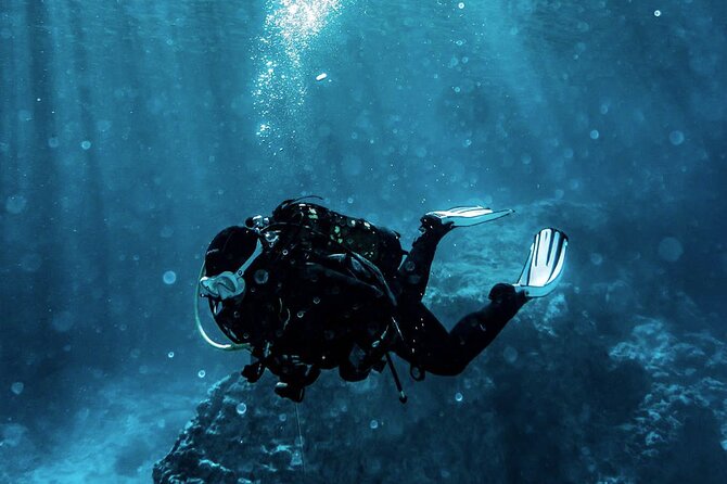Scuba Diving Experience in Alanya With Lunch and 2 Dives - Key points to know before you book
