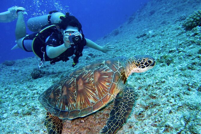 Scuba Diving Experience in Alanya With Lunch and 2 Dives - Is $40 good value?