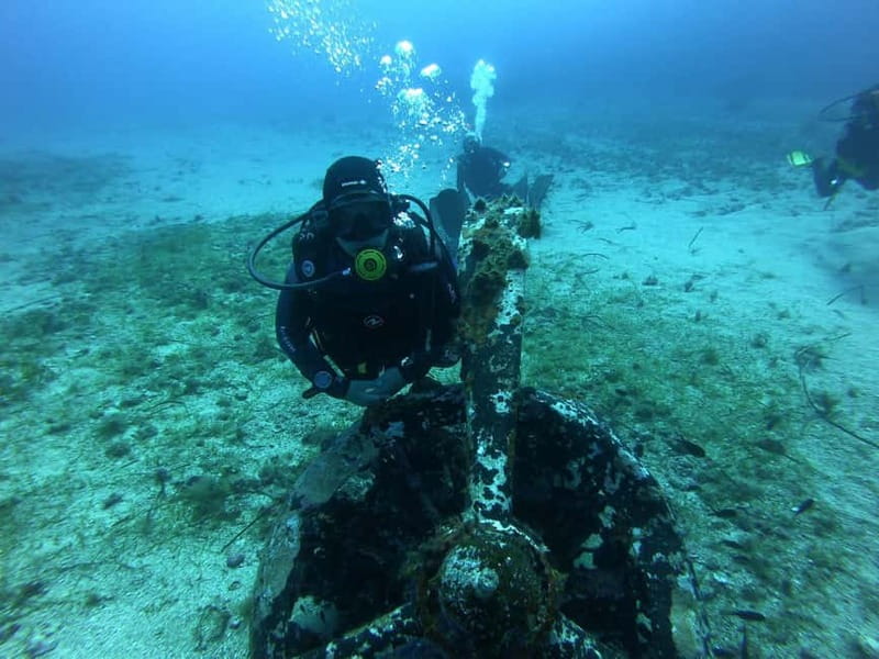 Scuba diving experience in La Maddalena : Baptism of the sea - Timing, preparation, and practical limits