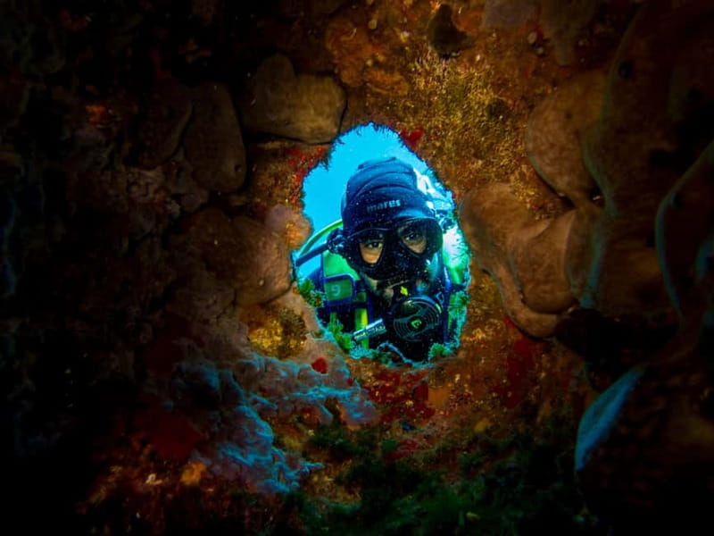 Scuba diving experience in La Maddalena : Baptism of the sea - What happens from Pollo Diving ASD