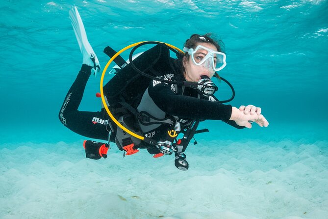 Scuba Diving Experience in Madeira - Meeting at Azul Diving Center in Funchal