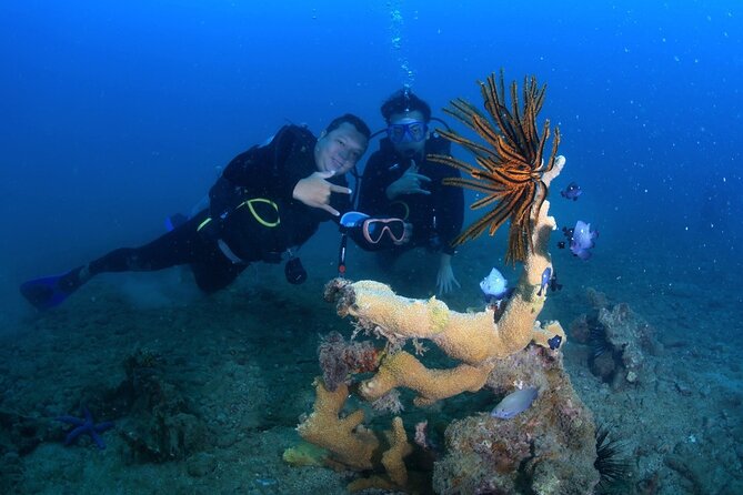 Scuba Diving Experience in Nha Trang Bay - Key things to know before booking