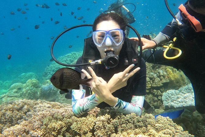 Scuba Diving Experience in Nha Trang Bay - What the six-and-a-half-hour schedule really means