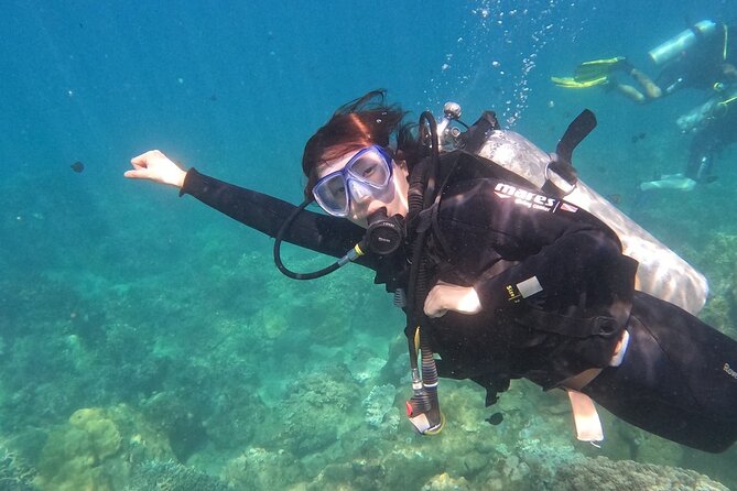 Scuba Diving Experience in Nha Trang Bay - Practical advice for a smoother day
