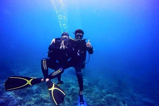 Scuba Diving Experience in Nha Trang Bay - Should you book this Nha Trang scuba experience?