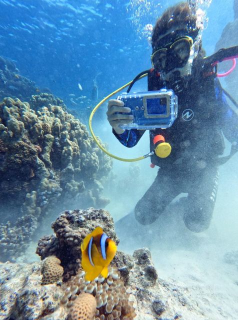 Scuba Diving Experience in Porto Cesareo - Key points at a glance