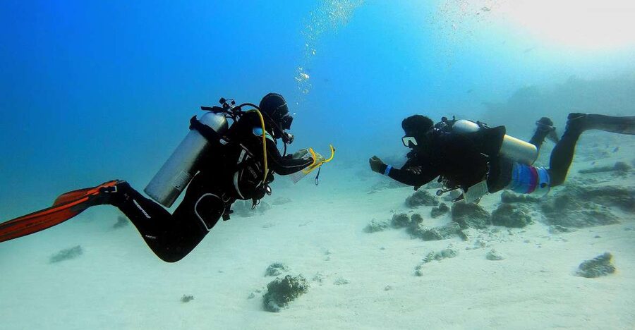 Scuba Diving Experience in Porto Cesareo - What you are really paying for at $135.94