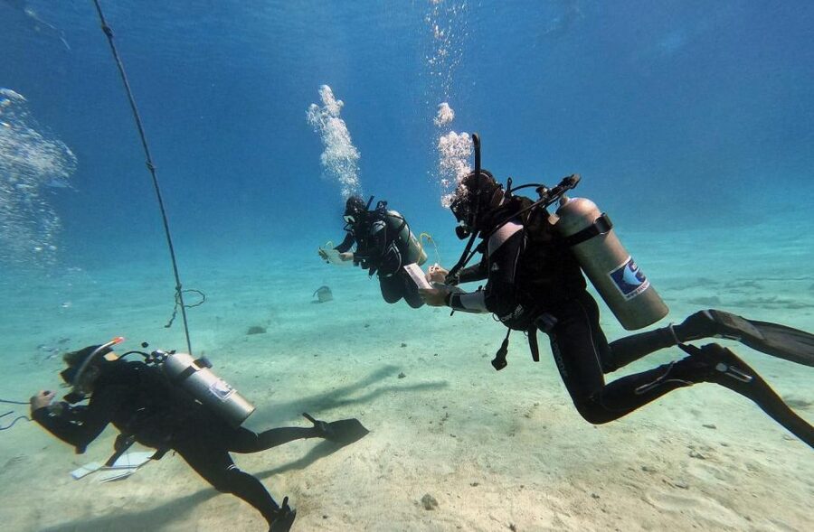 Scuba Diving Experience in Porto Cesareo - The first lesson: learning before entering the sea