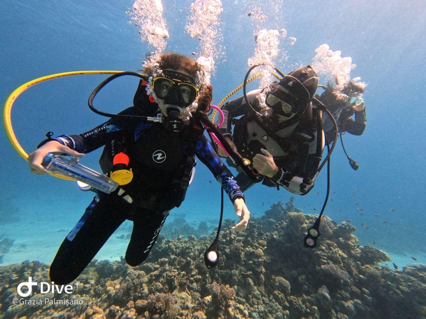 Scuba Diving Experience in Porto Cesareo - Getting used to the equipment