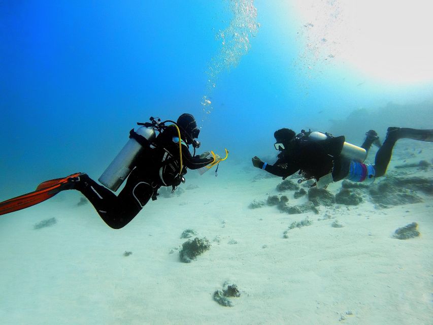 Scuba Diving Experience in Porto Cesareo - Meeting in Porto Cesareo and reaching the water