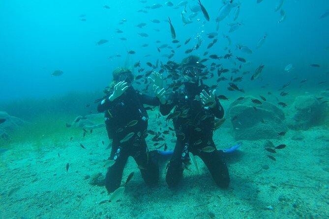 Scuba Diving Experience in Santorini - Marine life, photos, and what you actually receive