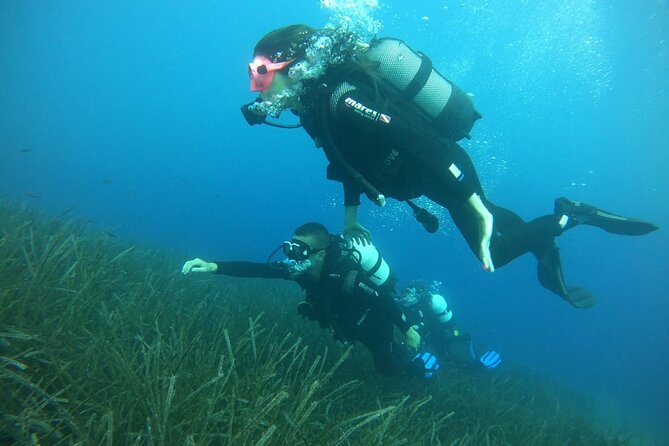 Scuba Diving Experience in Santorini - Who will enjoy this experience most