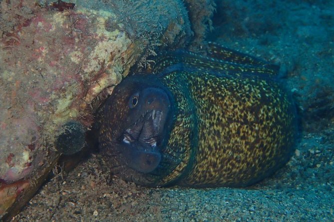 Scuba Diving Experience in Taormina - Your first briefing and equipment plan