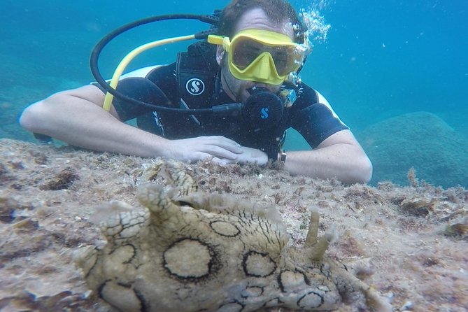 Scuba Diving Experience in Taormina - Timing, weather, and practical limits