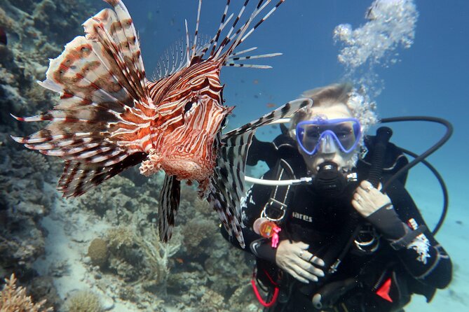 Scuba Diving Experience & MUSAN Dive + Free Edited Video 2xdives - Who will enjoy this most?